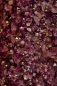 Amethystdruse  Top Qualität