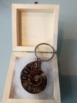 Ammonit Schlüsselanhänger
