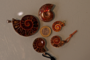Ammoniten - Anhänger