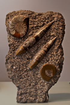 Skulptur Orthoceras