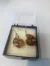 Ammoniten Ohrhänger