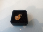 Ammonit in Goldfassung